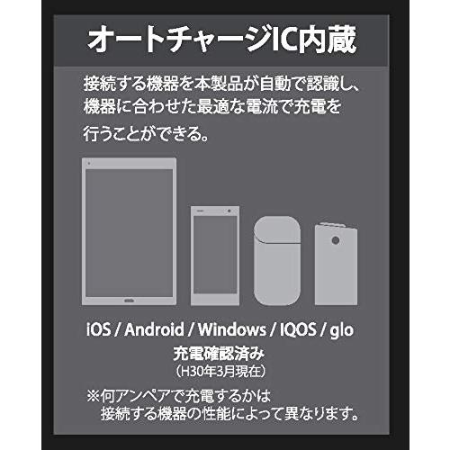 ギャルソン DAD クイックチャージ3.0 & オートチャージIC内蔵 3USBポート * ソケット USB合計最大出力6.0A 急速充電対応 HA457-01 D.A.D｜teniteni｜06