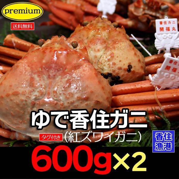 紅ズワイガニ 紅ずわい ベニズワイガニ 蟹 カニ ゆで香住ガニ 姿 大 ボイル 約600g 2杯 チルド 漁船タグ付き 兵庫県 香住漁港産 魚介類 海産物