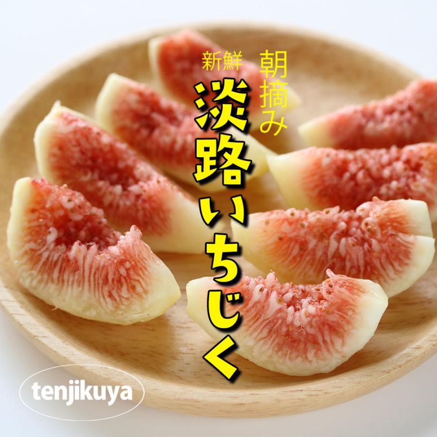 イチジク いちじく 生 無花果 朝摘み 淡路いちじく 淡路島産 1.7