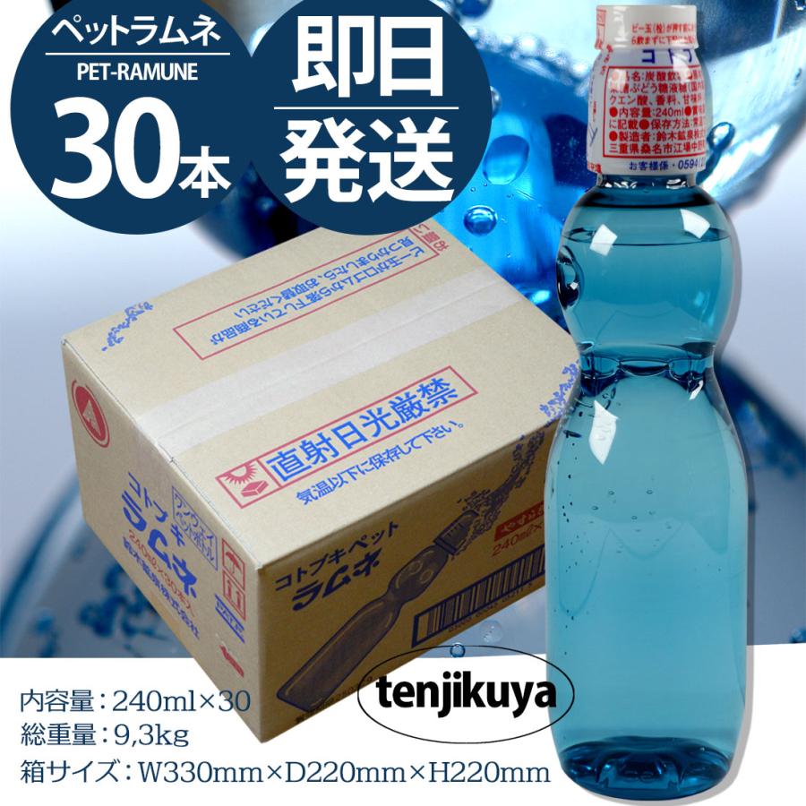 ラムネ ラムネ飲料 ラムネジュース 安い 業務用 炭酸飲料 ペット