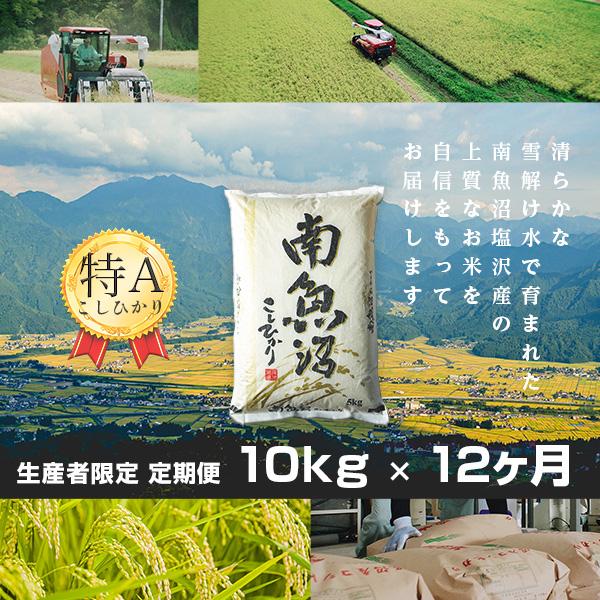 【白米】 米 10kg 《定期便 12ヶ月》 新潟 南魚沼 塩沢産 コシヒカリ 生産者限定米 令和5年産(51360円)
