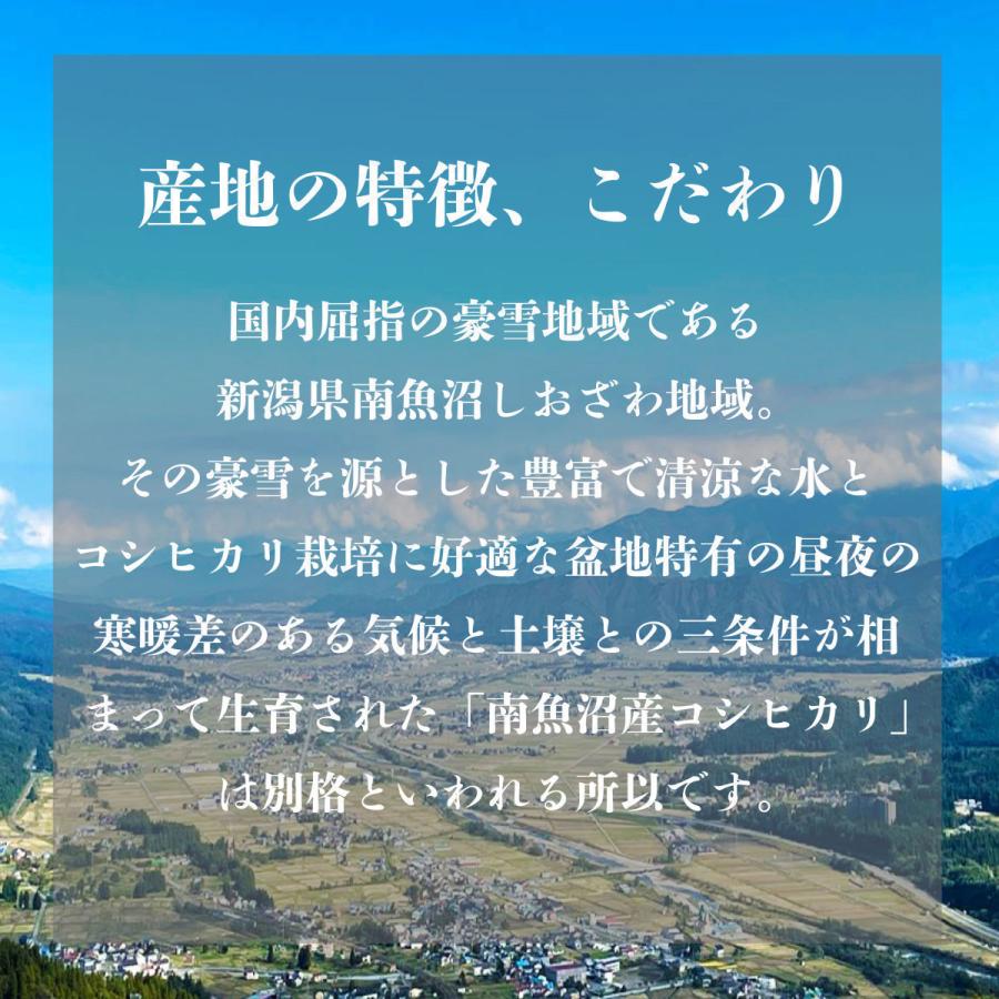 【値下げ】 【白米】 米 10kg 《定期便 12ヶ月》 新潟 南魚沼 塩沢産 コシヒカリ 生産者限定米 令和5年産 【MYK1415315214】(51360円)
