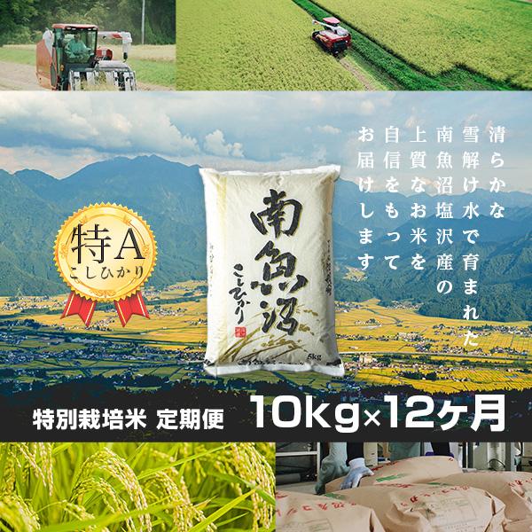 【白米】 米 10kg 《定期便 12ヶ月》 新潟 南魚沼 塩沢産 コシヒカリ 生産者限定米 令和5年産(67320円)