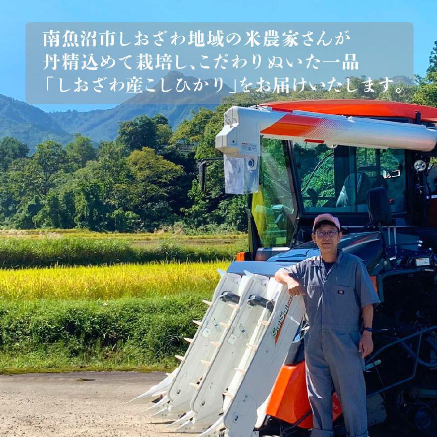 本日価格！！ 【白米】 米 10kg 《定期便 12ヶ月》 新潟 南魚沼 塩沢産 コシヒカリ 生産者限定米 令和5年産 【LWH1855120404】(67320円)