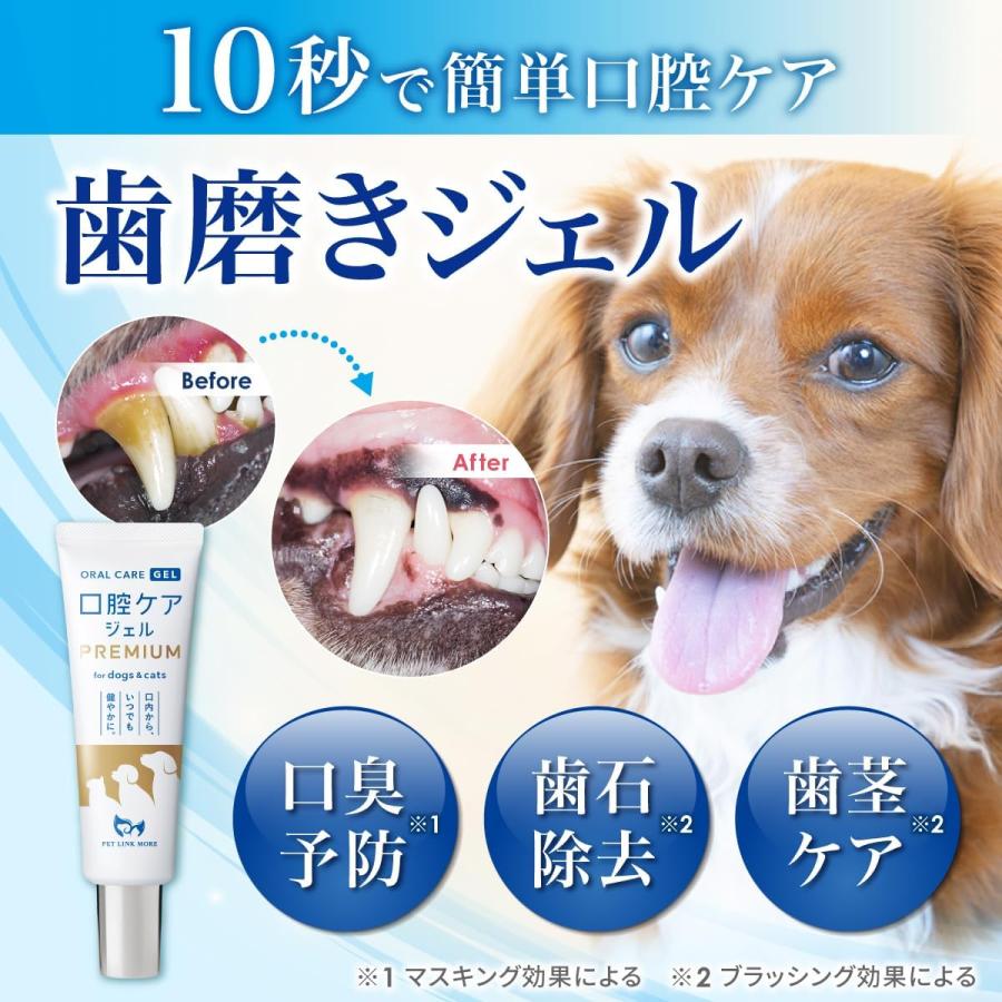 このこのは　犬用口腔ジェル Amazon.co.jp: このこのは 犬用 歯磨きジェル 30g約1ヵ月分 [ 犬