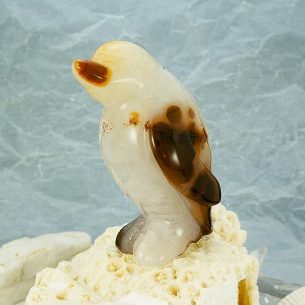 MYVEXLAODIB