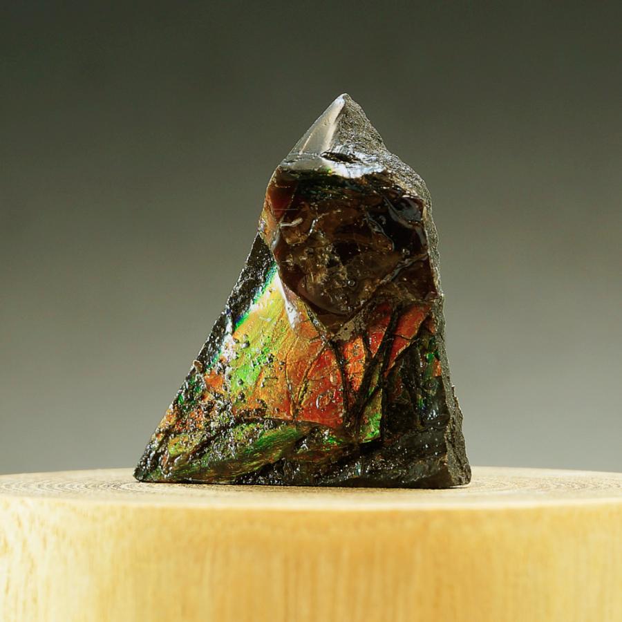 カナダ(アルバータ州)産 幻の宝石 アンモライト化石 赤緑系 寸法 カナダ(アルバータ州)産 幻の宝石 アンモライト化石 赤緑系 寸法