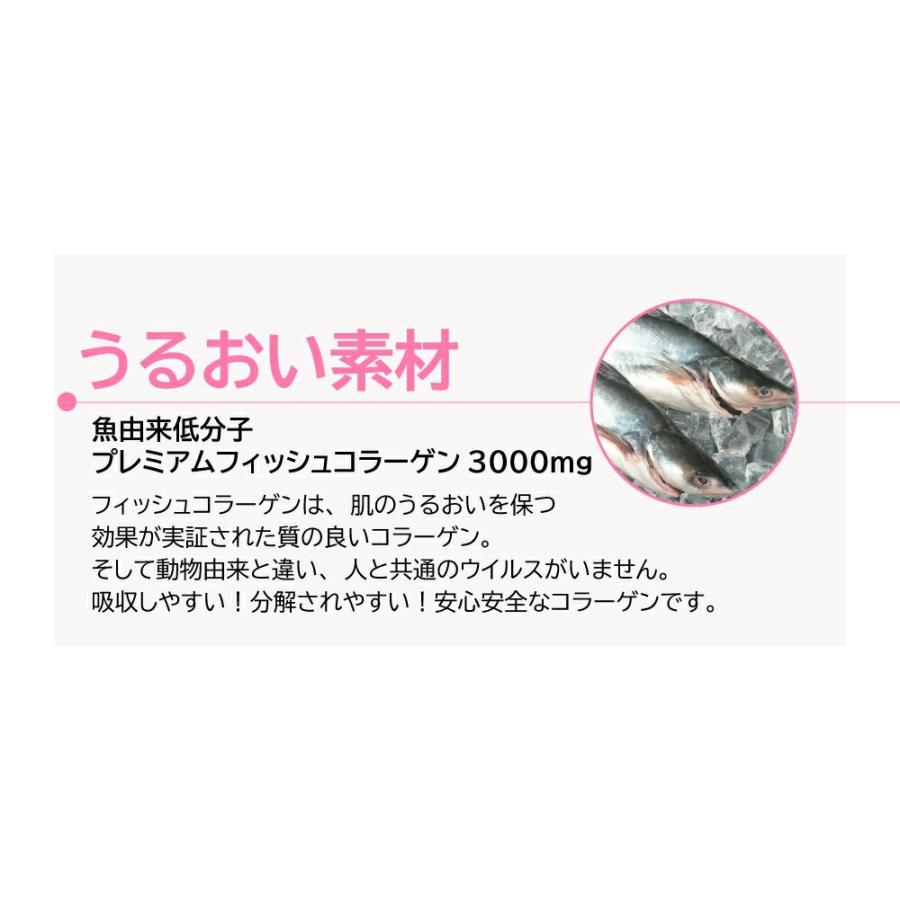 さらにお得 3g 30本 10パック 日本製 魚由来100 低分子 フィッシュコラーゲンペプチド 魚皮 粉末 パウダー アミノ酸 国産 Biyou F Collagen03 テンカyahoo ショップ 通販 Yahoo ショッピング