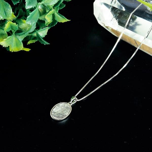 ナミビア産 ギベオン隕石 ペンダント ネックレス 14×10mm プラチナ 