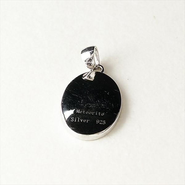 ナミビア産 ギベオン隕石 ペンダント ネックレス 18×12mm プラチナ