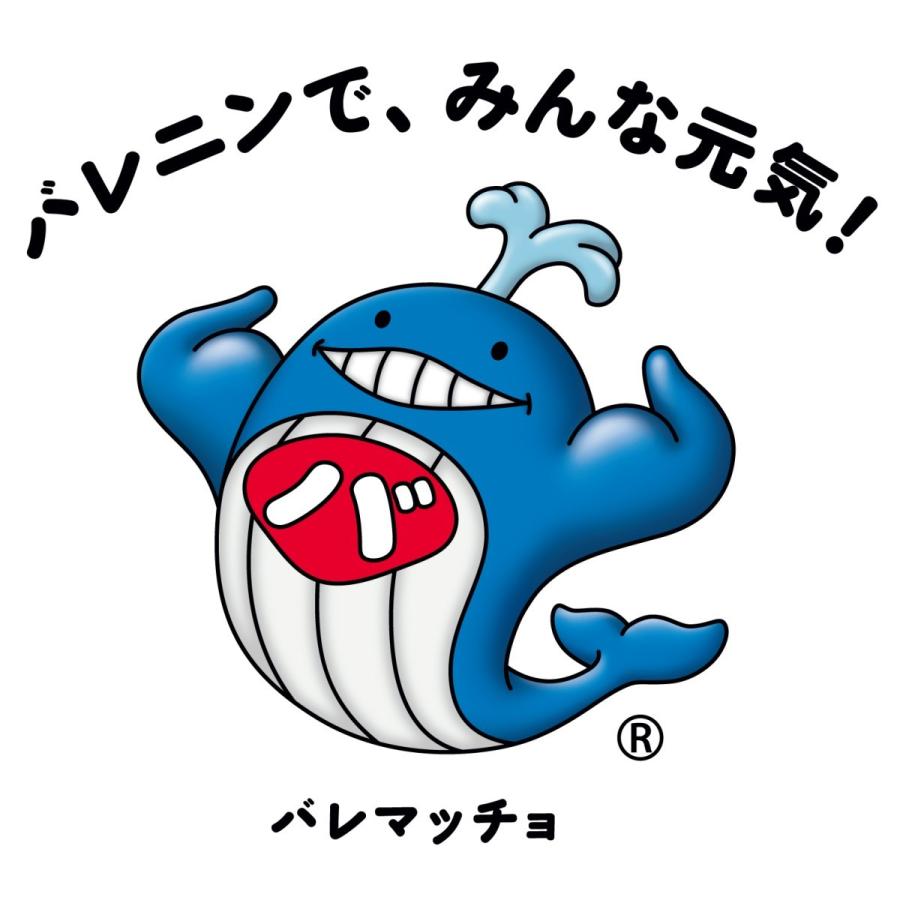 くじら熟成赤肉 刺身 500g 国産商業捕鯨クジラ 送料無料|tenkanodaidokoro|06