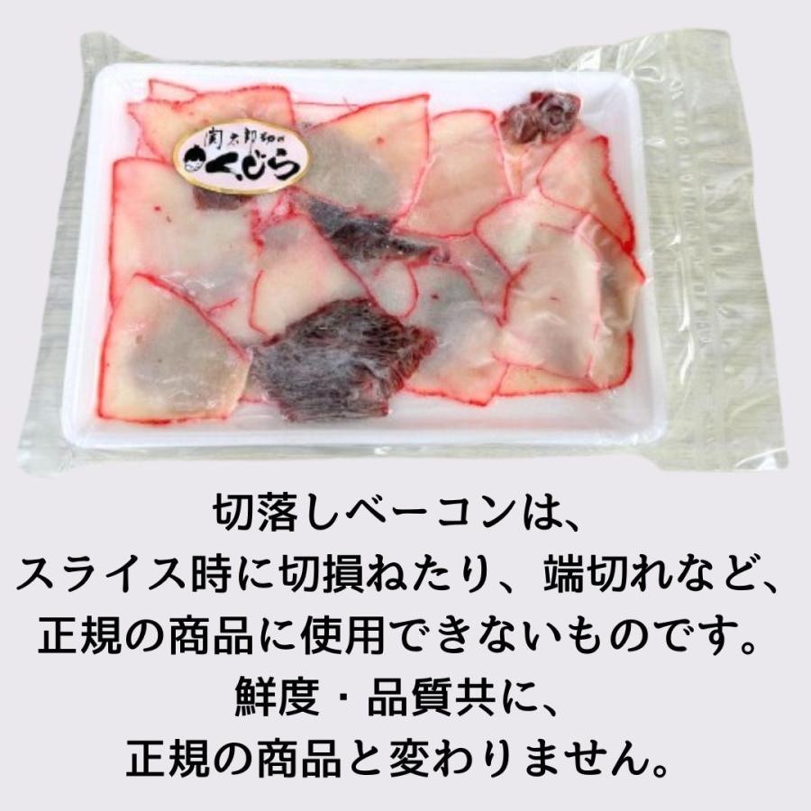 切り落とし 鯨ベーコン 500g 100g×5パック 国産 商業捕鯨 クジラ肉