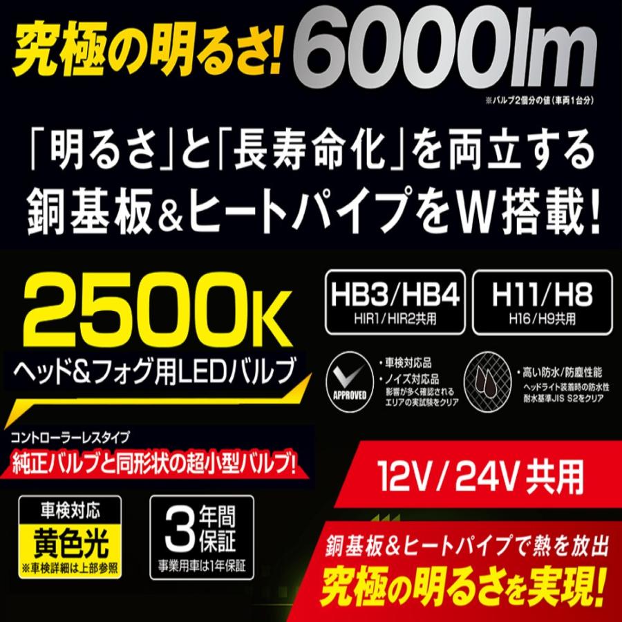 PIAA LEH251 PIAA ヘッド＆フォグ用 コントローラレスLEDバルブ 2500K