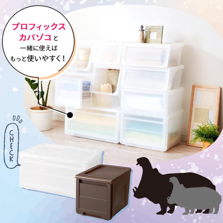 天馬 【4/27日0:00〜23:59 全品15%OFFクーポン】収納ケース 天馬 【4/27日0:00〜23:59 全品15%OFFクーポン】収納ケース