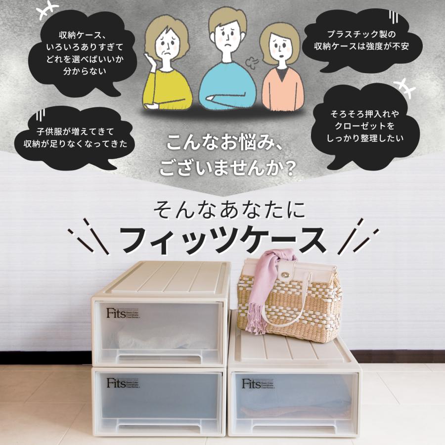 天馬 【4/27日0:00〜23:59 全品15%OFFクーポン】収納ケース 天馬 【4/27日0:00〜23:59 全品15%OFFクーポン】収納ケース