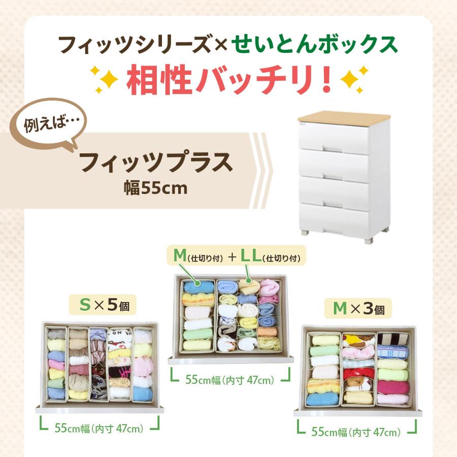 天馬 【4/27日0:00〜23:59 全品15%OFFクーポン】収納ケース 天馬 【4/27日0:00〜23:59 全品15%OFFクーポン】収納ケース
