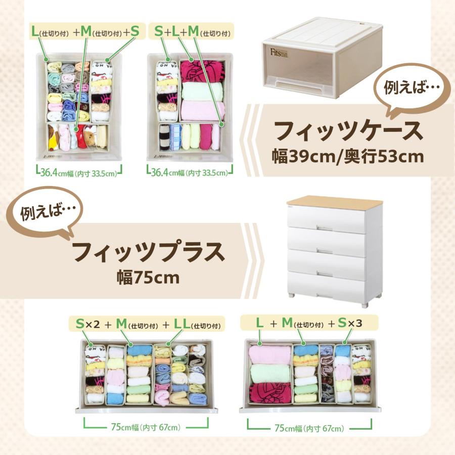天馬 【4/27日0:00〜23:59 全品15%OFFクーポン】収納ケース 天馬 【4/27日0:00〜23:59 全品15%OFFクーポン】収納ケース