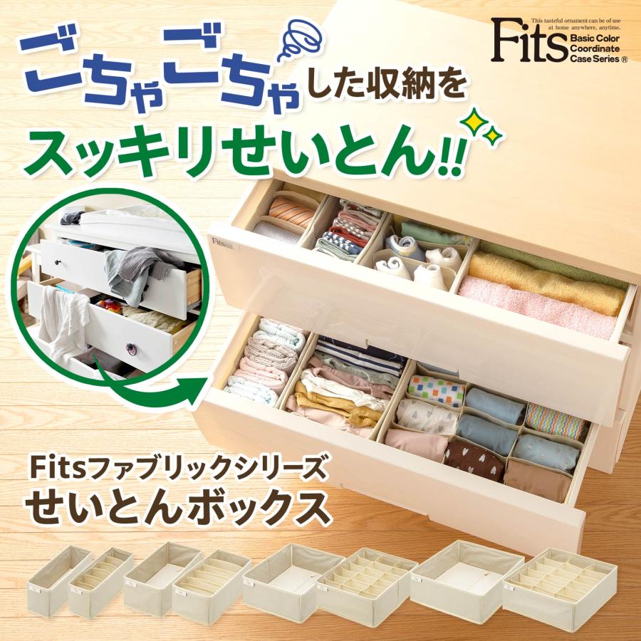 天馬 【4/27日0:00〜23:59 全品15%OFFクーポン】収納ケース 天馬 【4/27日0:00〜23:59 全品15%OFFクーポン】収納ケース