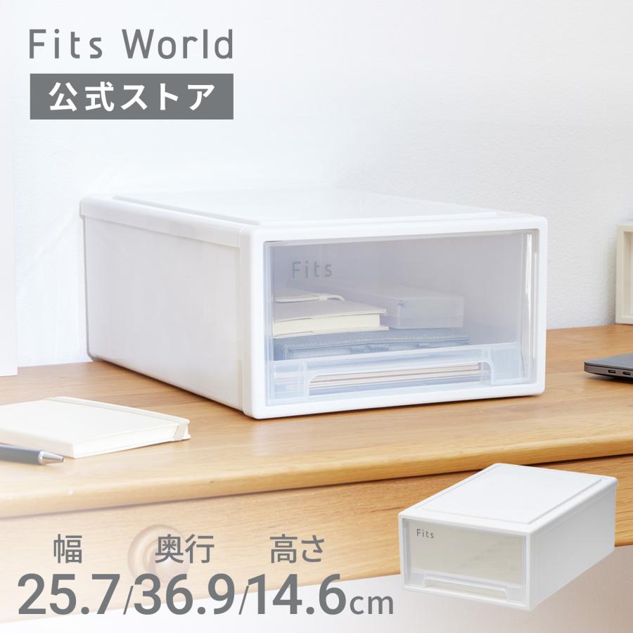 天馬 収納ケース 衣装ケース フィッツケース 36-25 ホワイトクリア
