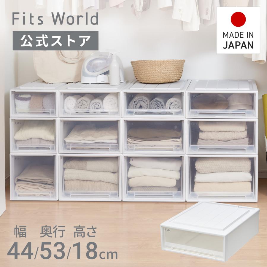 天馬 【5/5限定！15％OFFクーポン】収納ケース 衣装ケース フィッツ