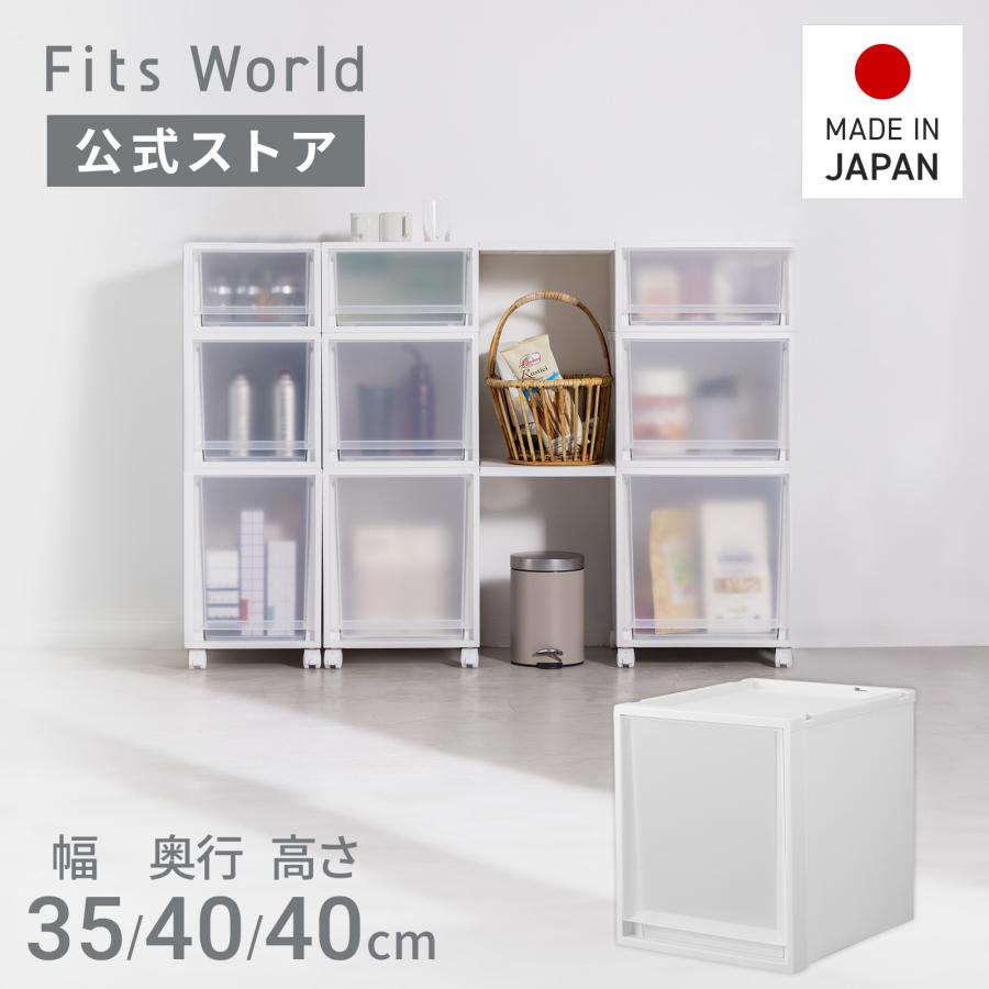 Fits 収納ケース 衣装ケース フィッツケース マルチ 40-35L 天馬