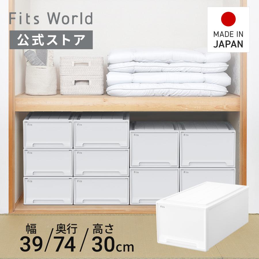 天馬 【7/5限定！15％OFFクーポン】収納ケース 衣装ケース フィッツ