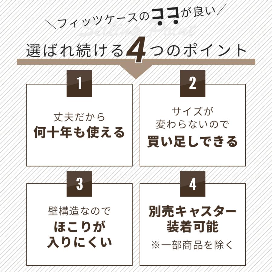 天馬 【5/4日0:00〜23:59 全品15%OFFクーポン】収納ケース 衣装 天馬 【5/4日0:00〜23:59 全品15%OFFクーポン】収納ケース 衣装