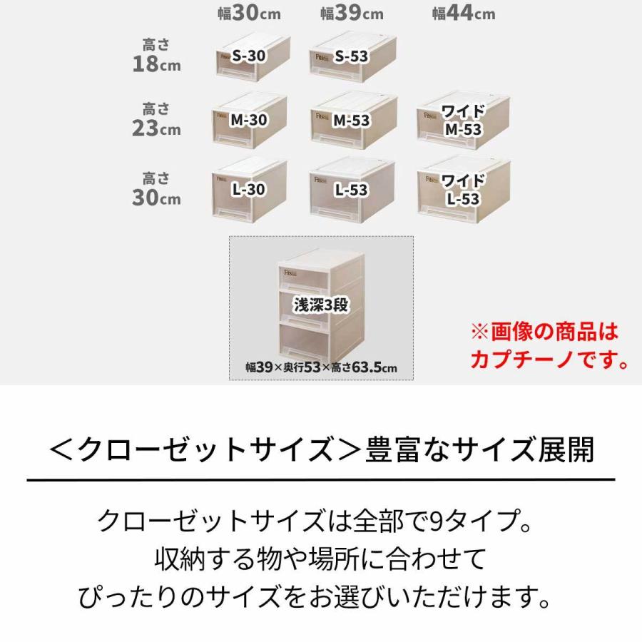 収納ケース 衣装ケース フィッツケース クローゼット 浅深3段 天馬