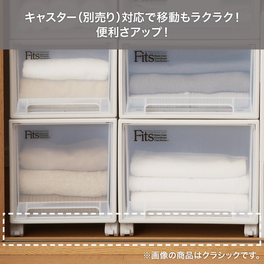 天馬 収納ケース 衣装ケース フィッツケース クローゼット M-53