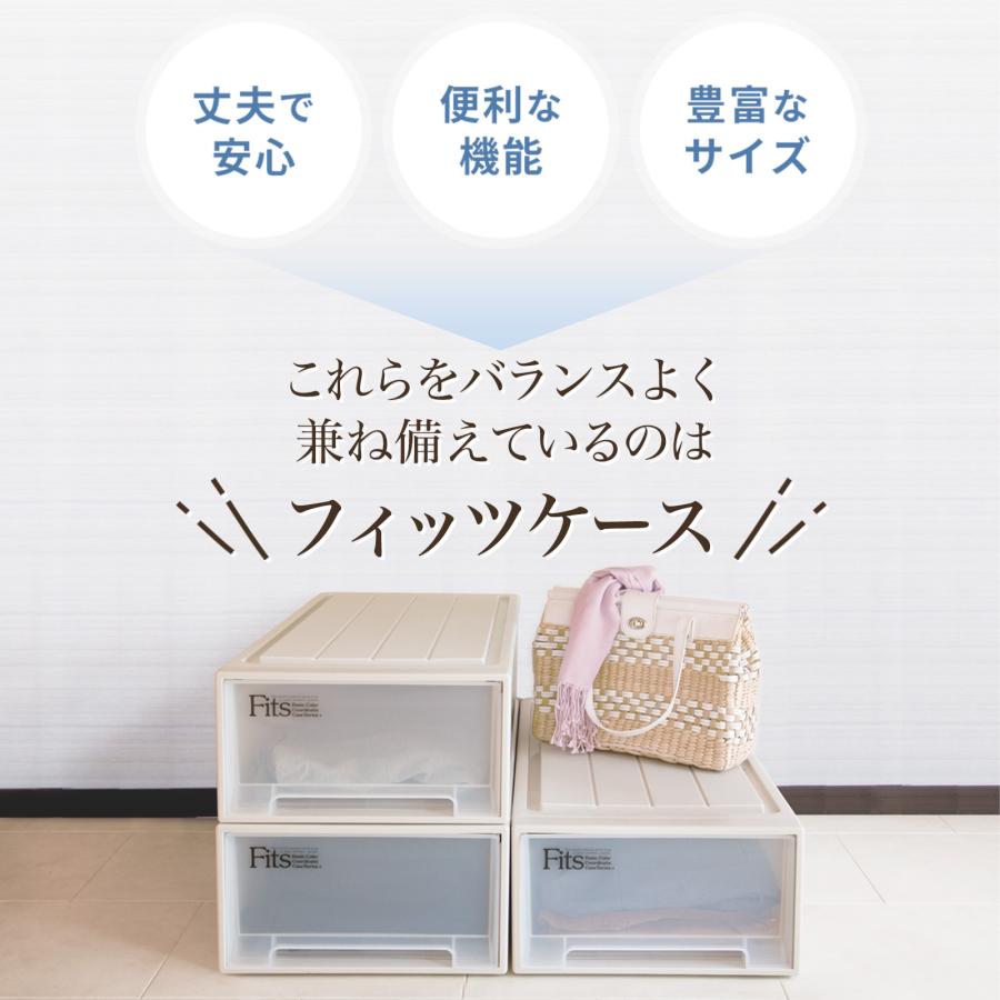 天馬 【4/27日0:00〜23:59 全品15%OFFクーポン】収納ケース 天馬 【4/27日0:00〜23:59 全品15%OFFクーポン】収納ケース