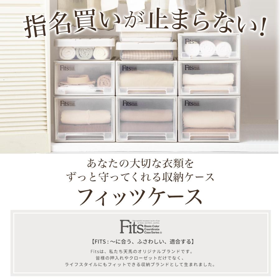 天馬 収納ケース 衣装ケース フィッツケース ビッグ カプチーノ