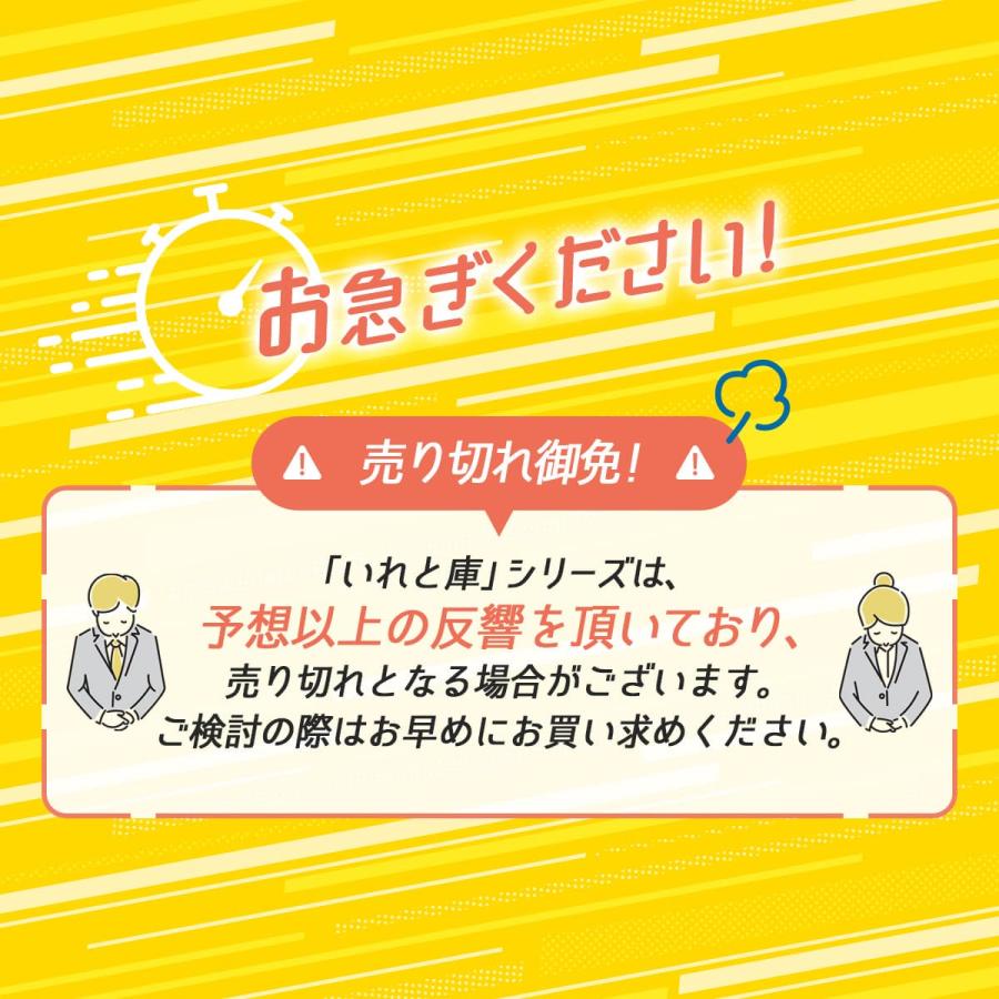 天馬 【4/27日0:00〜23:59 全品15%OFFクーポン】収納ケース 天馬 【4/27日0:00〜23:59 全品15%OFFクーポン】収納ケース
