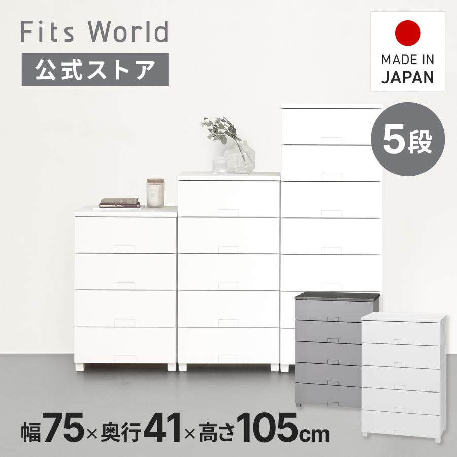 天馬 【9/25限定！15％OFFクーポン】収納ケース フィッツチェスト フル