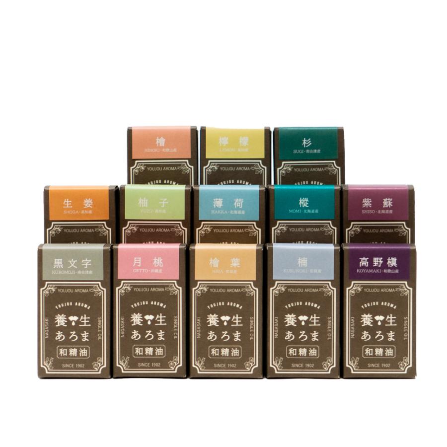 超人気の アロマオイル 全13種 セット エッセンシャルオイル 精油養生あろま 国産 福袋 送料無料 メール便 Set009 ハンドクリームのてんまん香粧薬房 通販 Yahoo ショッピング 正規激安 Www Avantgardewheels Com