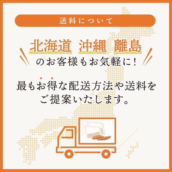 だしパック 無添加 国産 出汁パック 無塩 天満屋 出汁 関西風 関西風出汁 無塩出汁 昆布入り特選出汁パック 10g×10包入り 5袋セット パック だしぱっく |  | 02