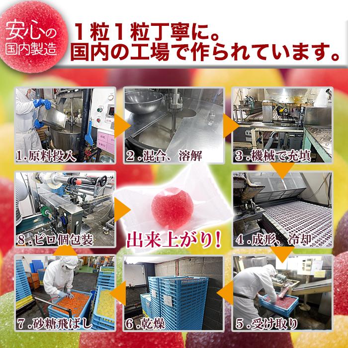 フルーツペクチンゼリー 500g×5 個包装 爆買 : 健康日和-ヤフー店