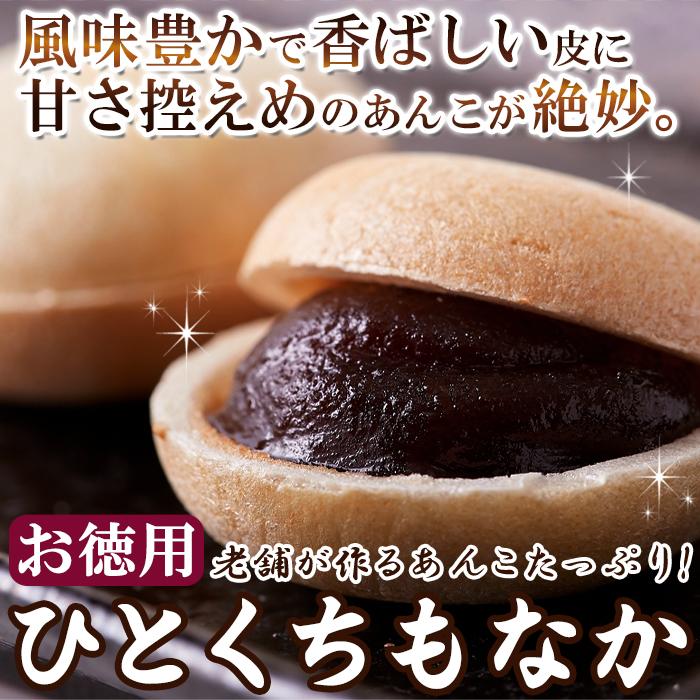 ひとくち最中 600g×5 個包装 お菓子 和菓子 もなか 爆買 : 健康日和