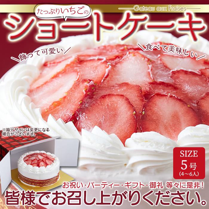 いちごのショートケーキ 5号 約15cm ケーキ ホール 爆買 : 健康日和