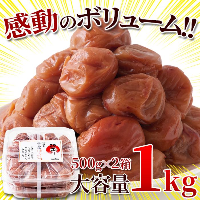 ☆ はちみつ南高梅 1kg 塩分8％ 訳あり はちみつ梅干し 塩分控えめ