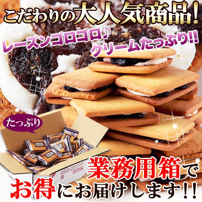 レーズンサンド 24個×2 個包装 洋菓子 焼菓子 クッキー お菓子 爆買