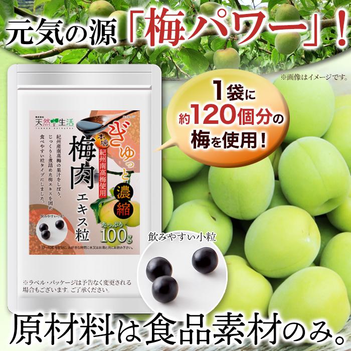 ☆ 梅肉エキス 粒 100g 約2か月分 紀州南高梅 サプリ 梅の力 梅粒