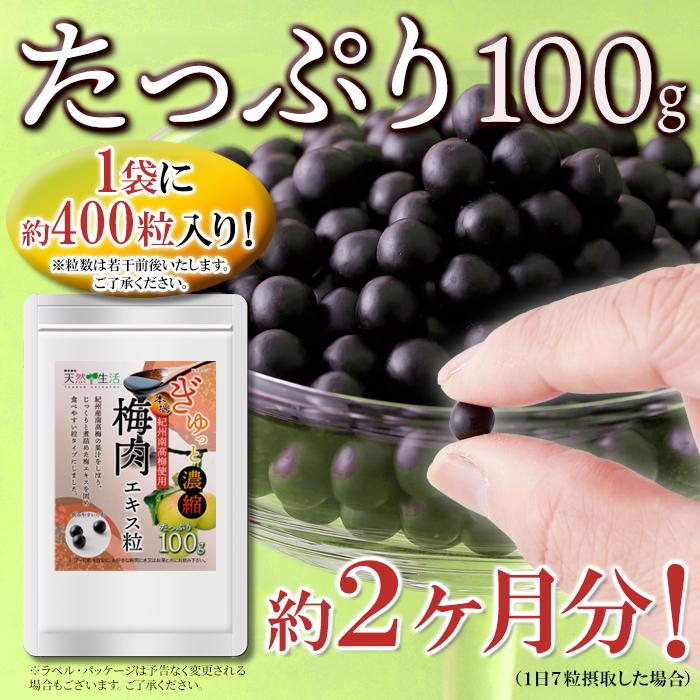 食品 【山寺様】360粒×10箱 梅肉エキス粒 紀州産