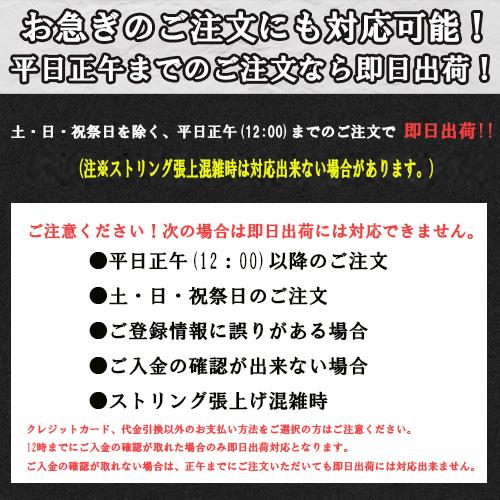 SPEED 【ジョコビッチ/数量限定】HEAD(ヘッド)2023 スピード SPEED 【ジョコビッチ/数量限定】HEAD(ヘッド)2023 スピード