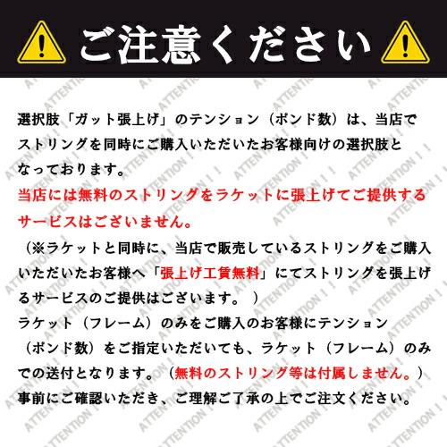 2024 ウィルソン ブレード100 V9.0 16×19  WR151511U（300g）（海外正規品） 硬式テニスラケット（Wilson BLADE 100  V9.0 16×19）｜tennis-depot｜04