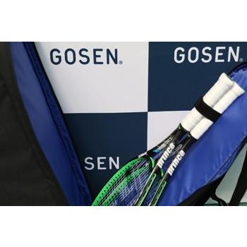 GOSEN（ゴーセン） 【在庫限り☆特別価格/自立式】 G/ARMOR ラケット