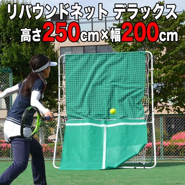 リバウンドネット デラックス (高さ250cm×幅200cm)(Z-23) テニス 練習