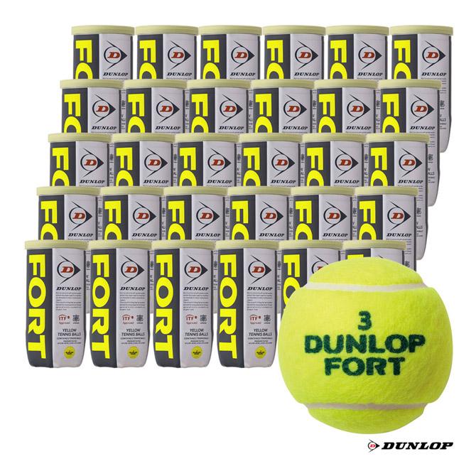 ダンロップ DUNLOP テニスボール DUNLOP FORT（ダンロップ・フォート） 2球入 1箱（30缶/60球） DFEYL2CS60  :dlp-baxp-dfeyl2cs60:テニスジャパンYahoo!店 - 通販 - Yahoo!ショッピング