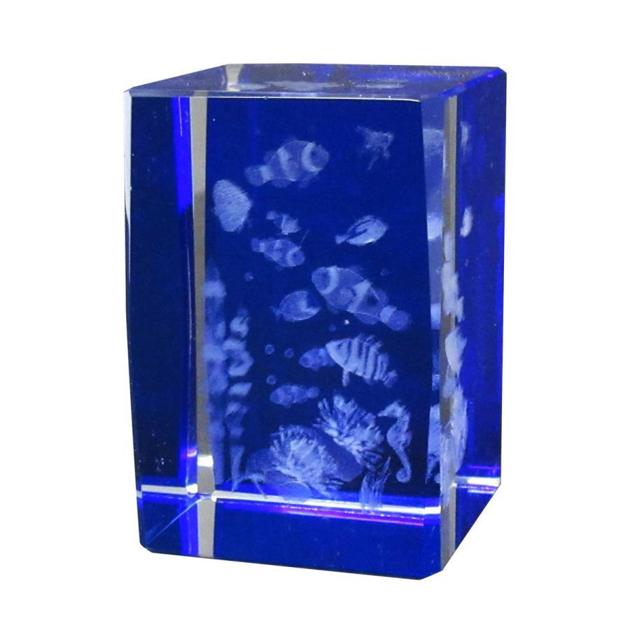 3Dクリスタル(M) クマノミと熱帯魚 ブルー ガラス オブジェ ペーパー