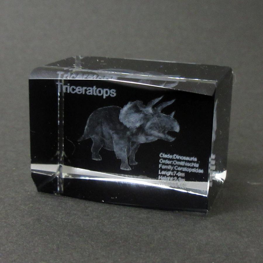 3Dクリスタル(M) トリケラトプス ブラック ガラス オブジェ ペーパー