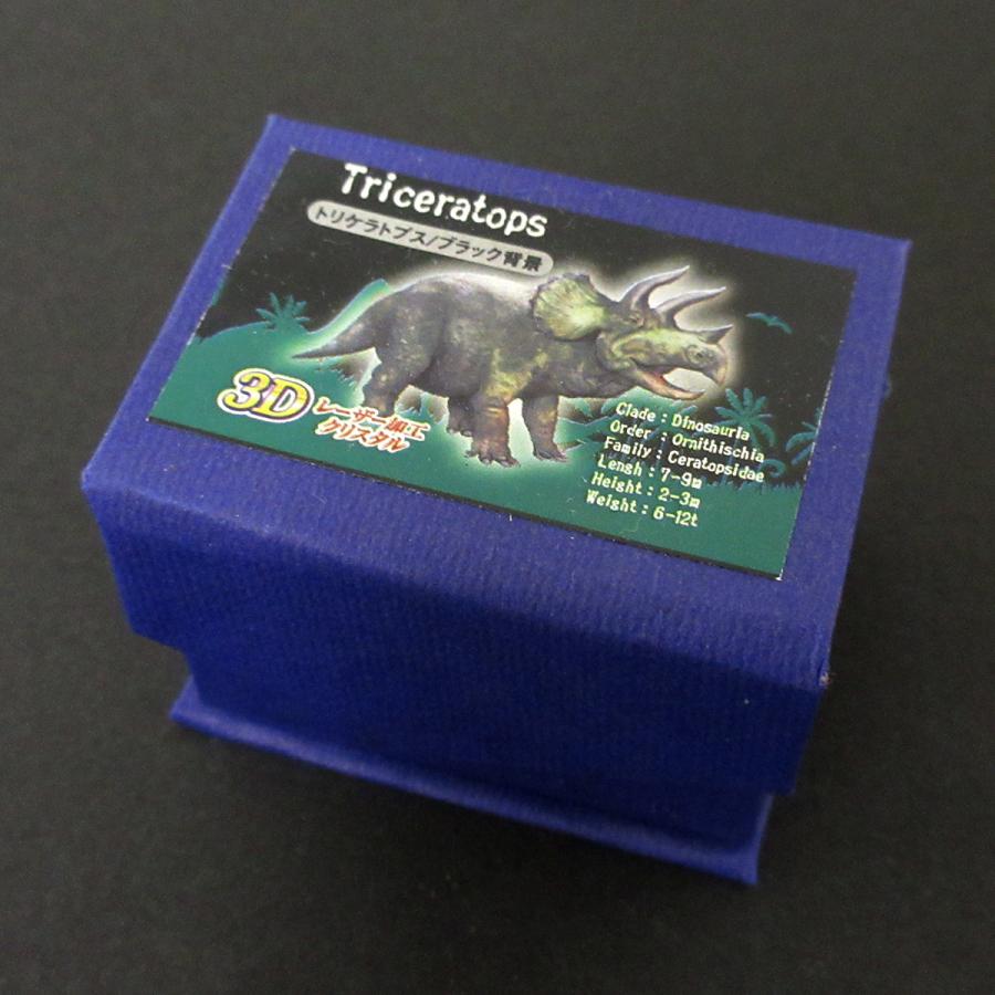 3Dクリスタル(M) トリケラトプス ブラック ガラス オブジェ ペーパー